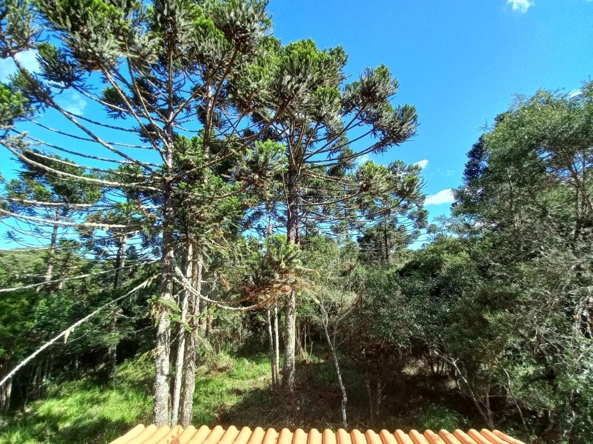 Cabana Na Floresta Rincao Do Fortaleza Cambará Luaran gambar