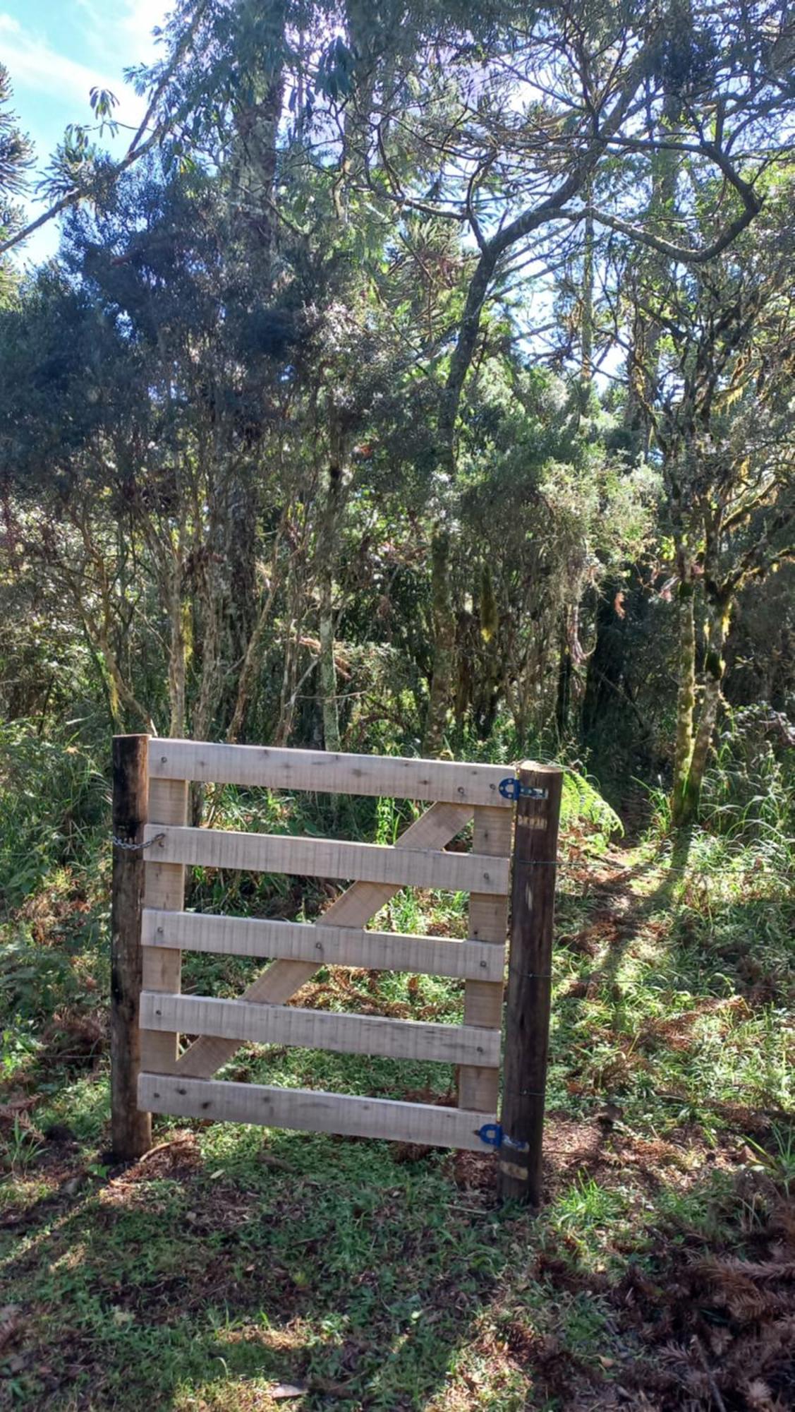 Cabana Na Floresta Rincao Do Fortaleza Cambará Luaran gambar