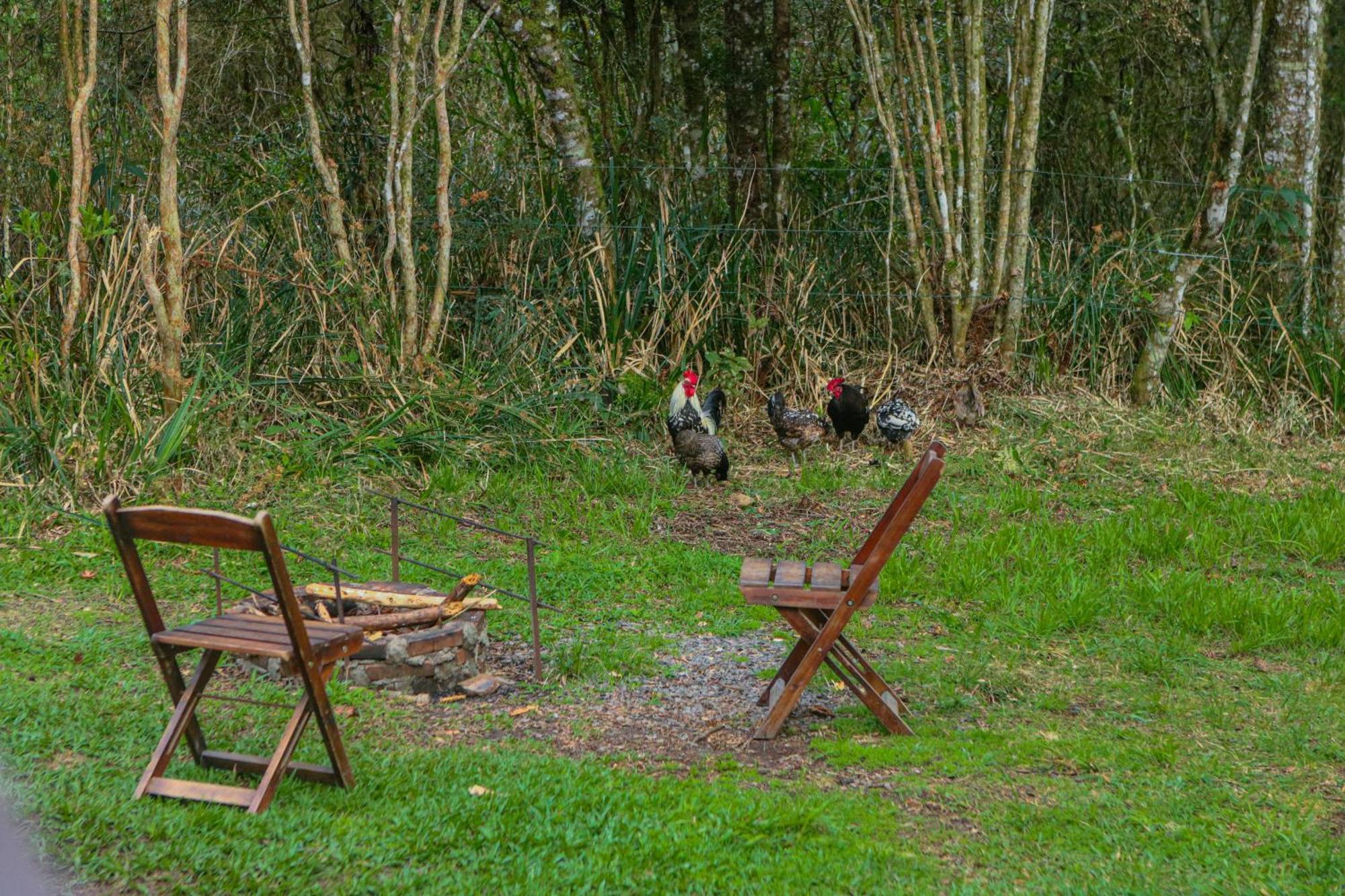 Cabana Na Floresta Rincao Do Fortaleza Cambará Luaran gambar